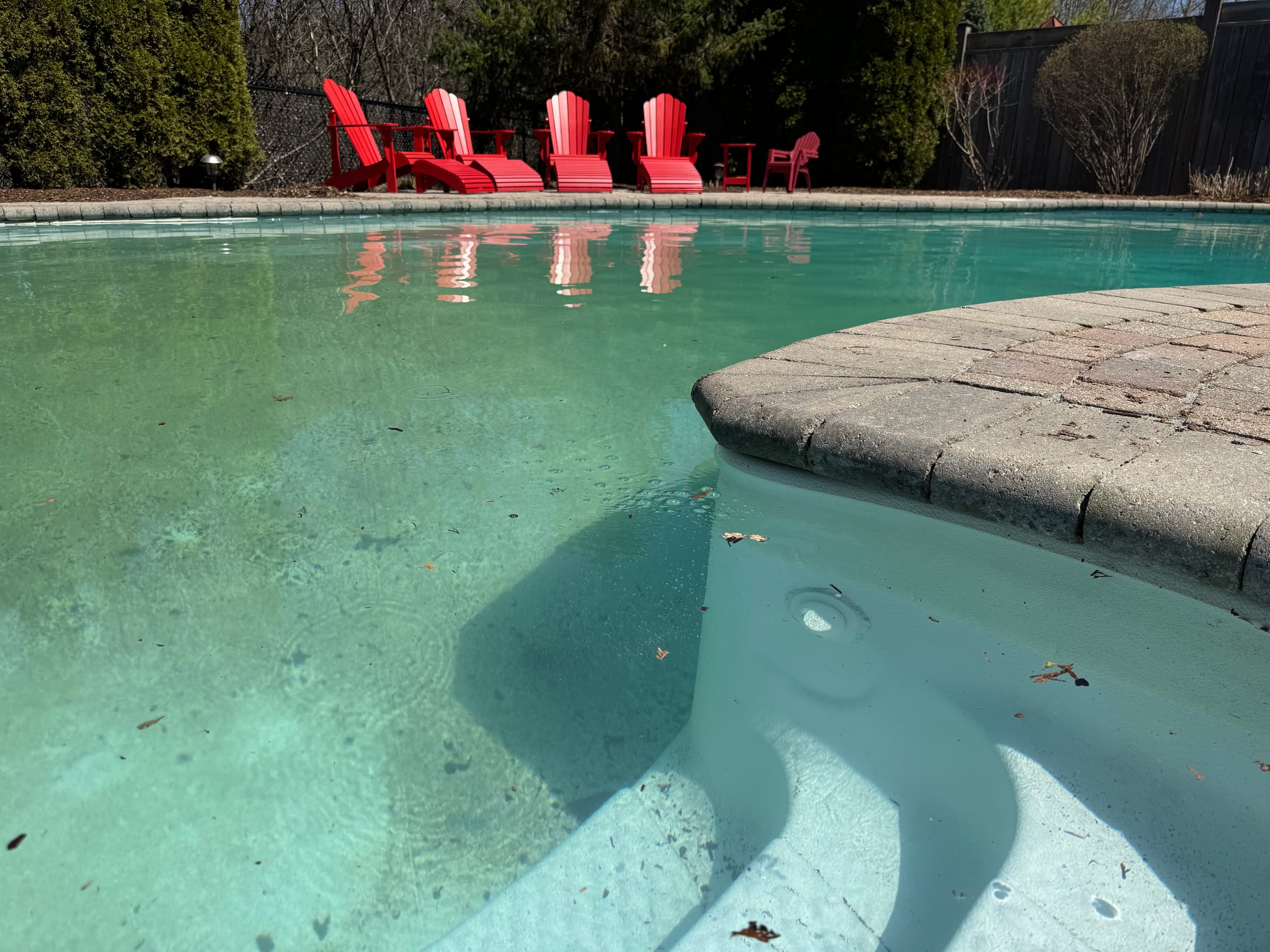 Common Spring Pool Opening Problems Homeowners Run Into (And What ...